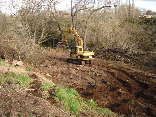 LSP- the beginning, 2008-11 Cambridge Tree Trust